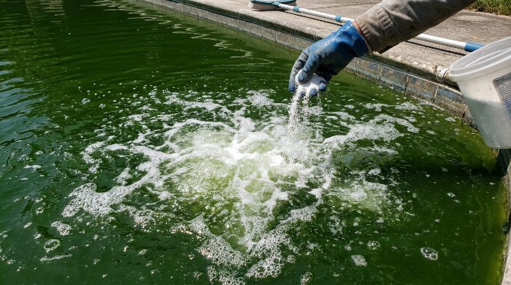 Green Pool Cleanup & Recovery project detail — Cary, NC
