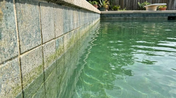 Green Pool Cleanup & Recovery project detail — Cary, NC