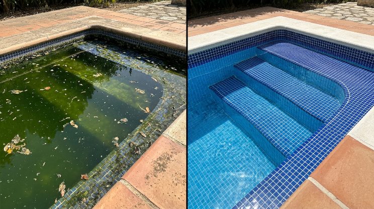 Green Pool Cleanup & Recovery before and after in Cary, NC